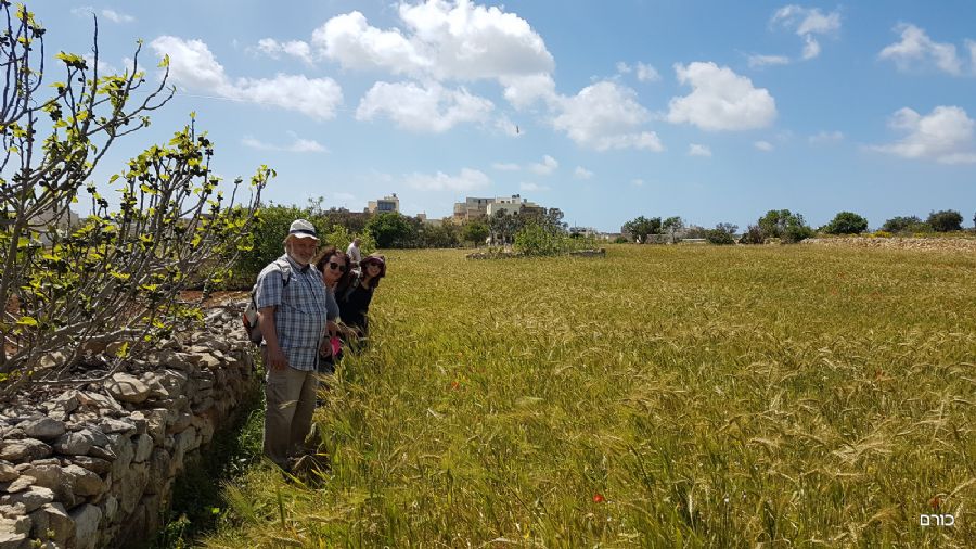 הולכים בדרך לח'אר דאלאם בשדות מלטזי אדיב
